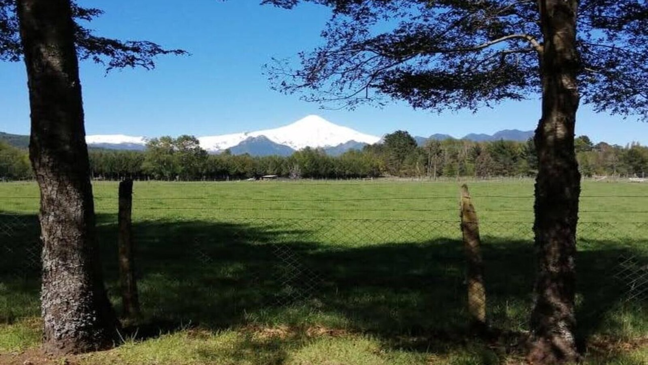 Photo of Others in Pucon