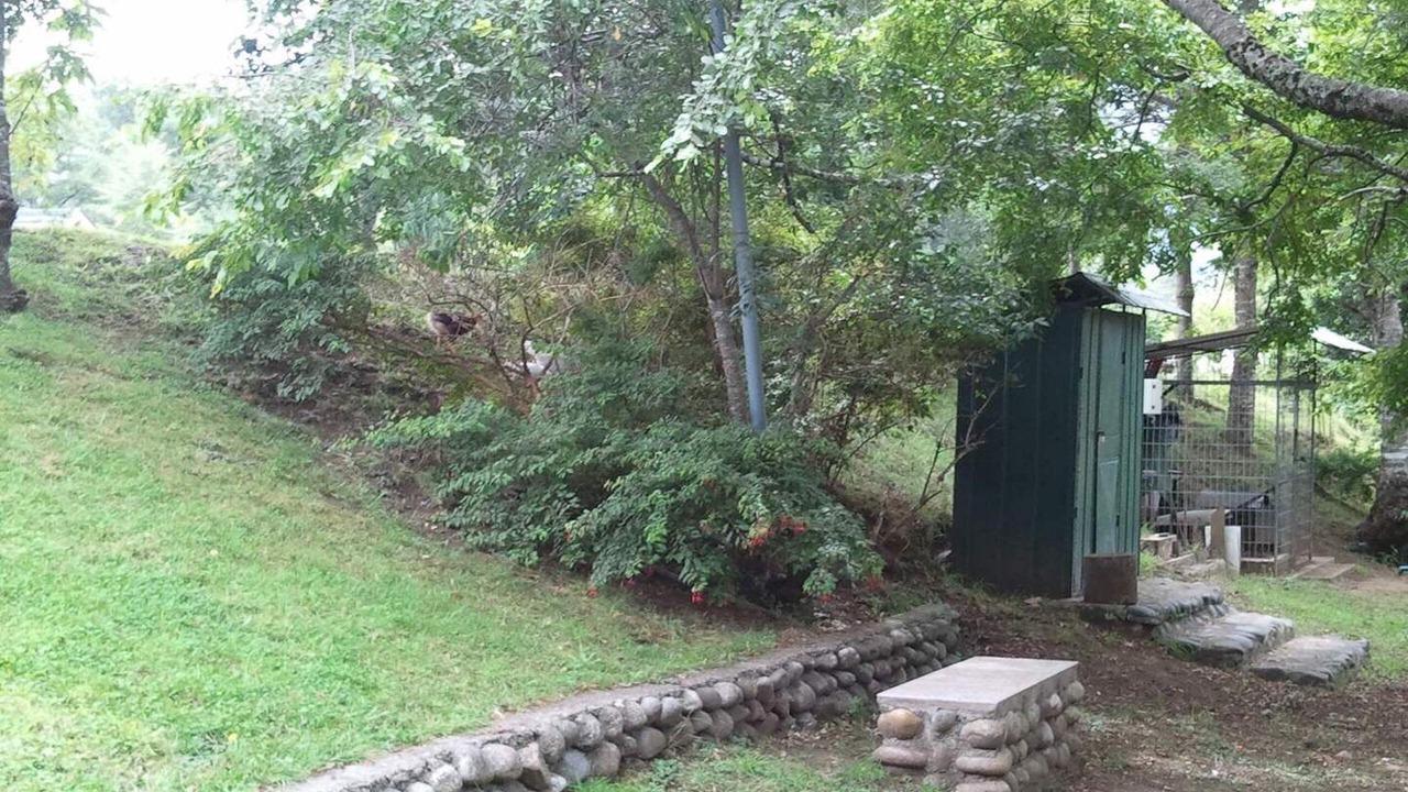 Photo of Outdoor in Pucon