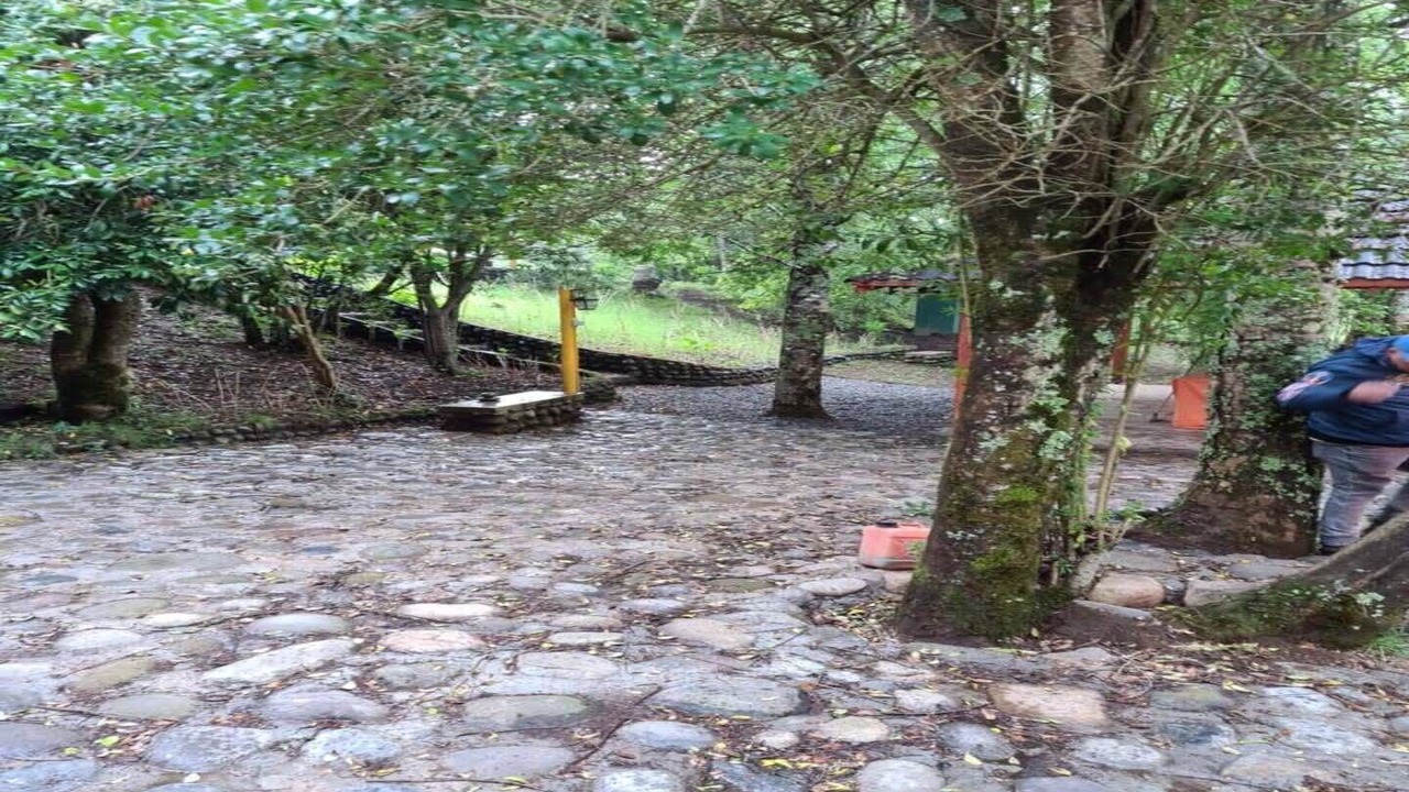 Photo of Outdoor in Pucon
