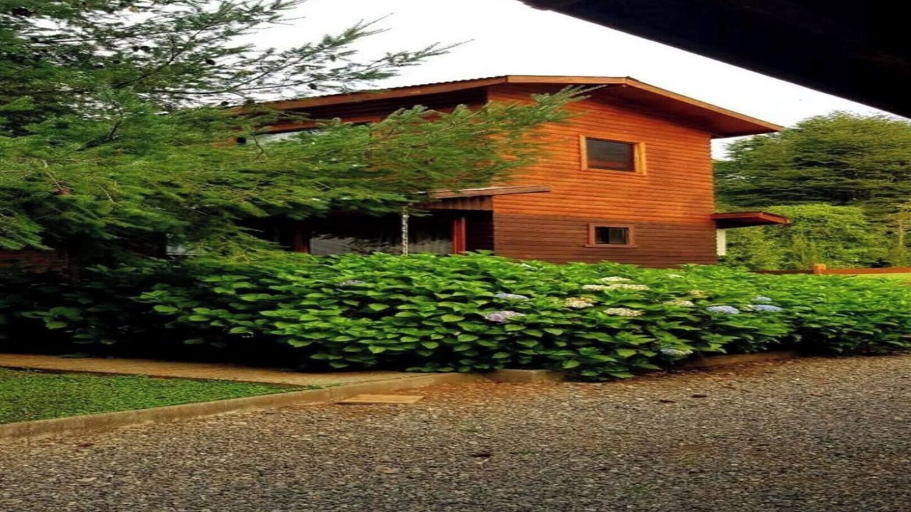 Photo of Outdoor in Pucon