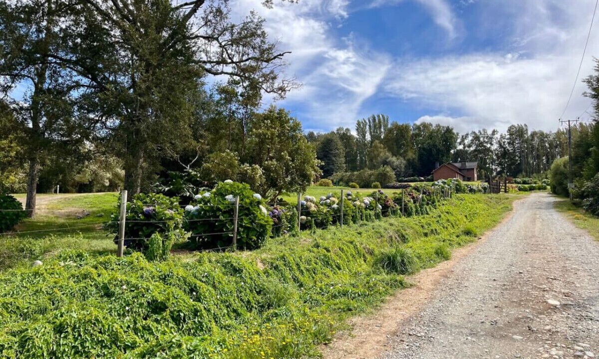Photo of Outdoor in Panguipulli