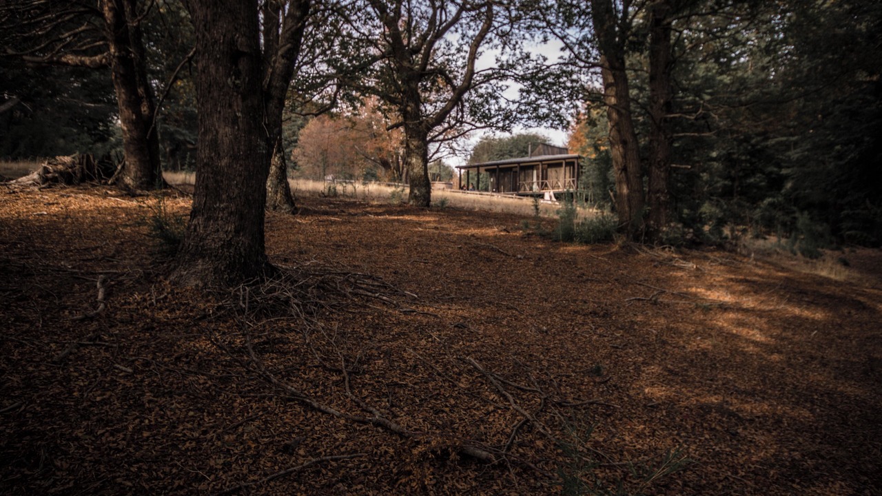 Photo of Others in Malalcahuello
