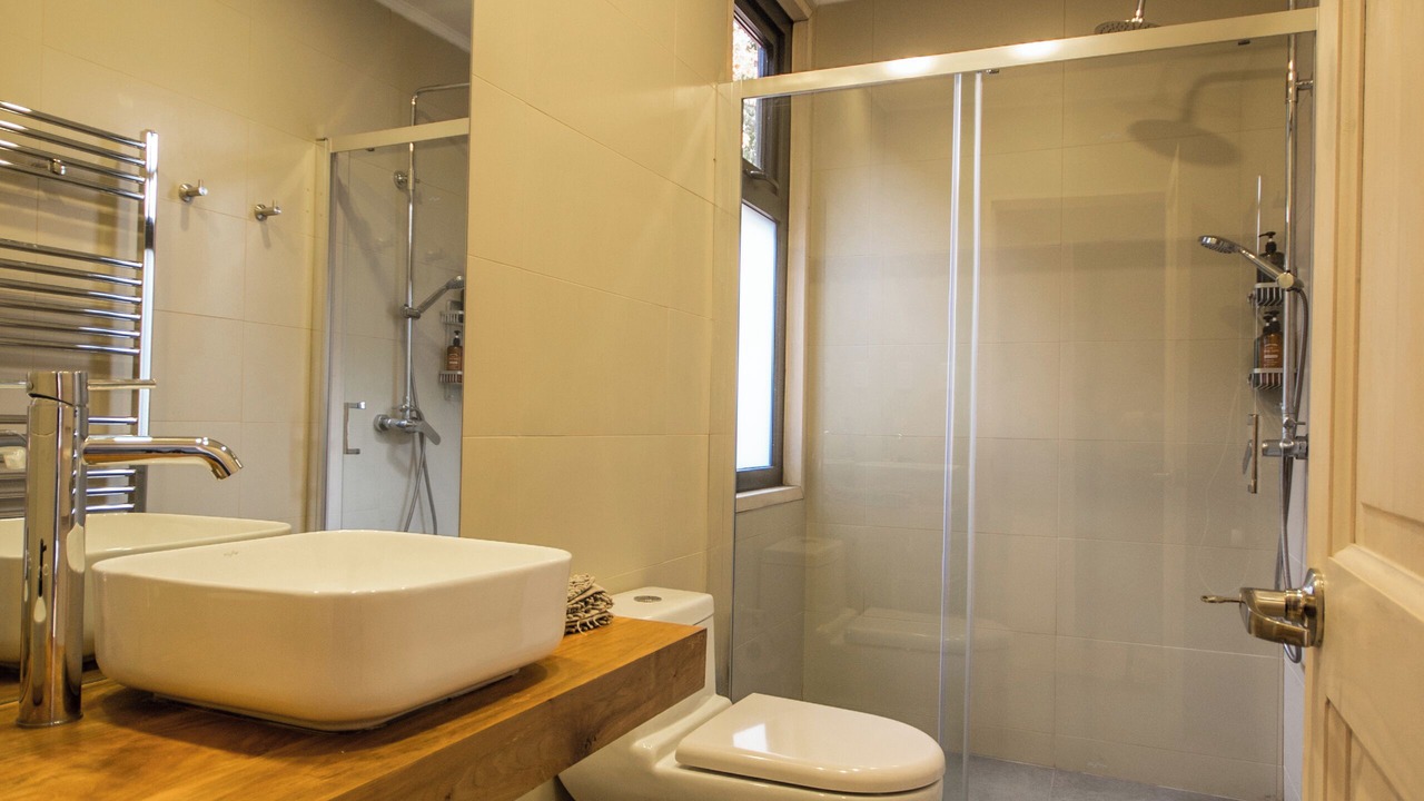Photo of Bathroom in Malalcahuello