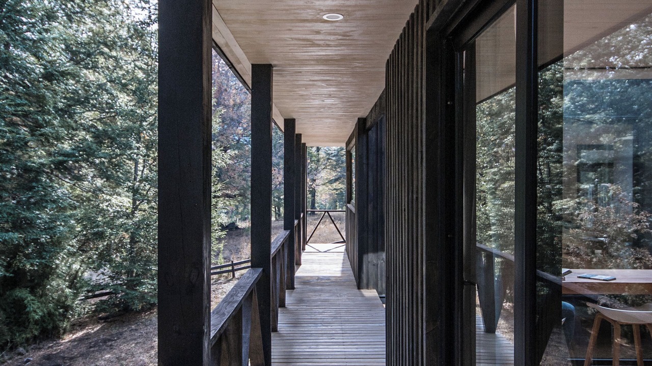 Photo of Patio Balcony in Malalcahuello