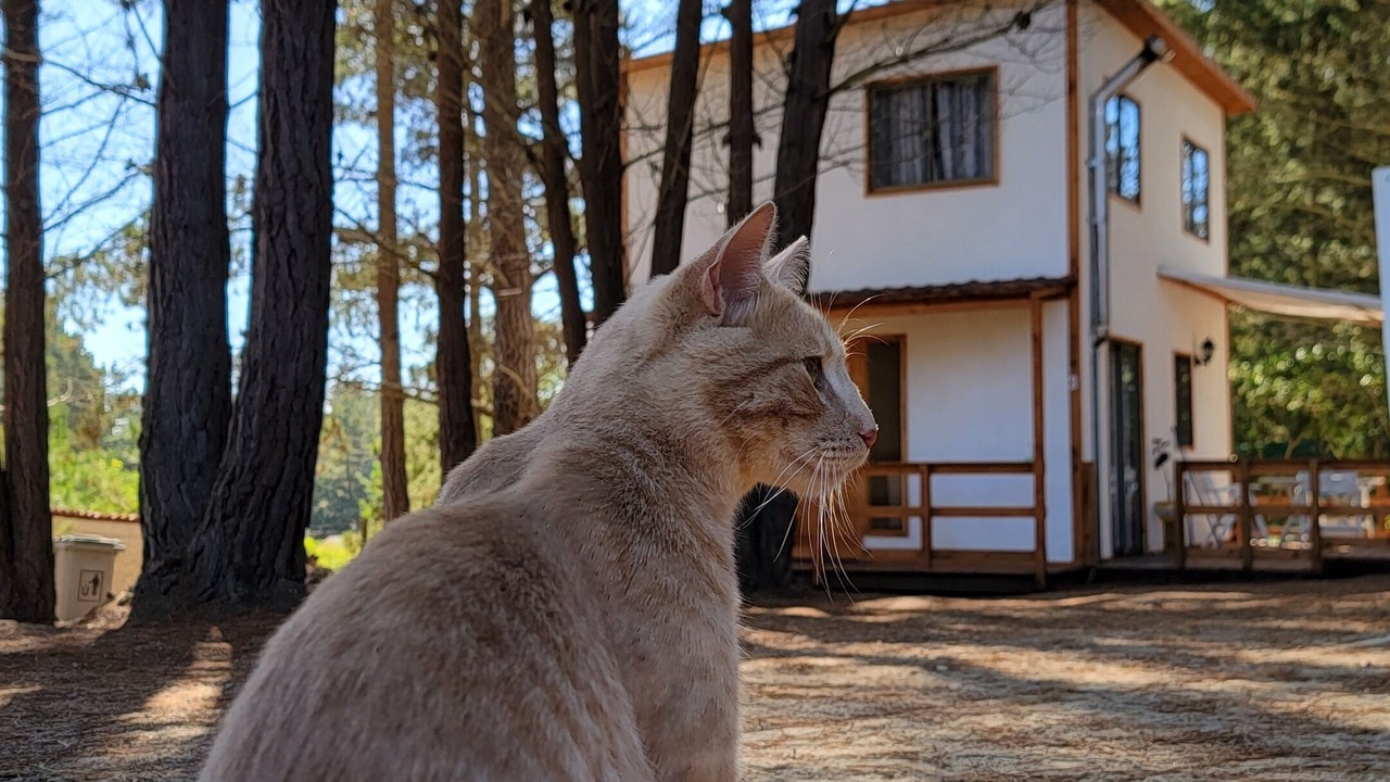 Photo of Outdoor in Algarrobo