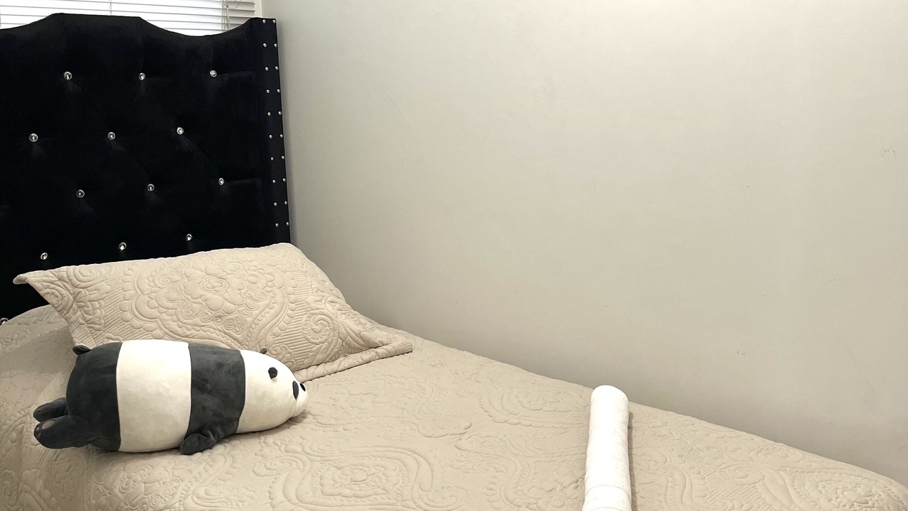 Photo of Bedroom in Vina del Mar