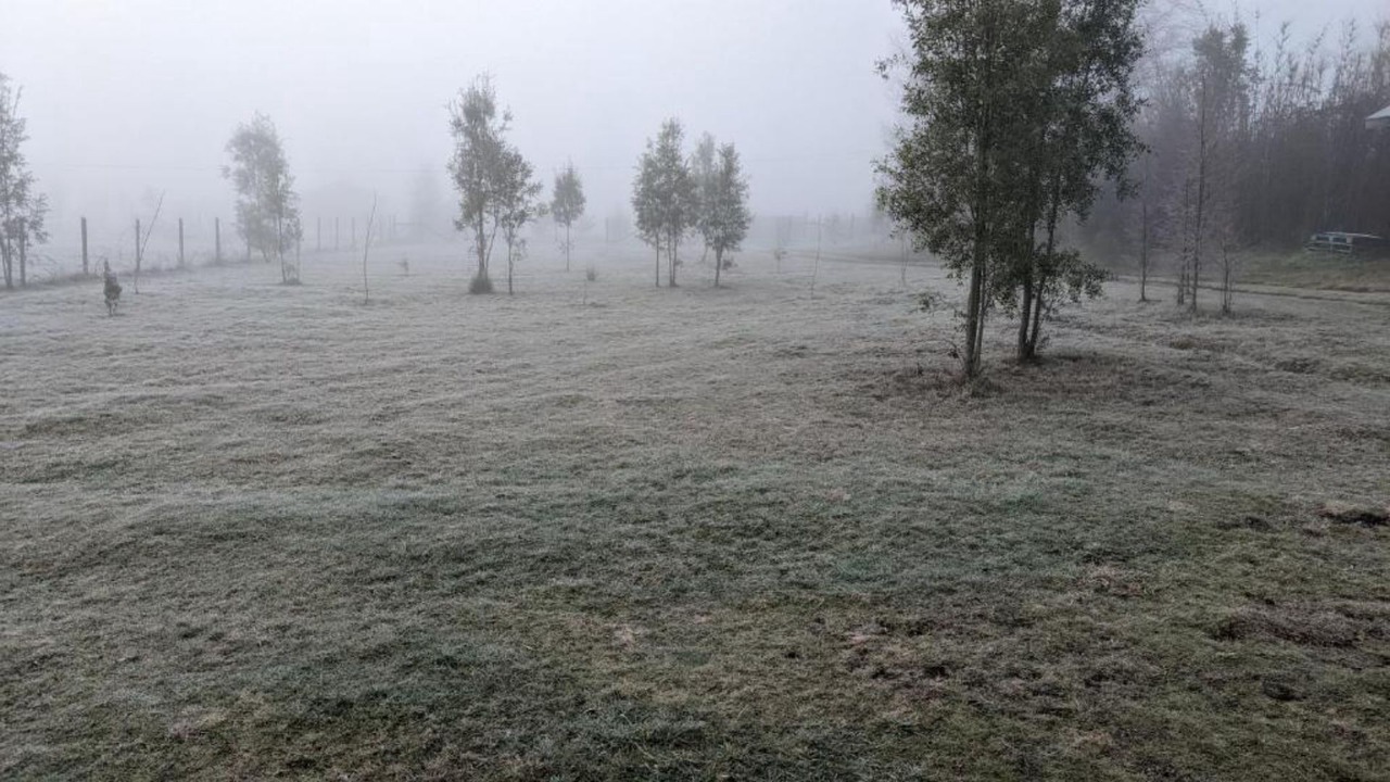 Photo of Outdoor in Villarrica