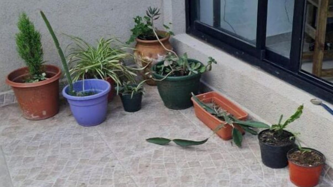 Photo of Outdoor in Cordoba