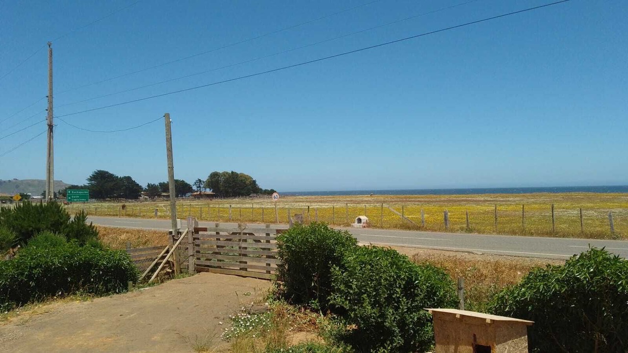 Photo of Outdoor in Cobquecura