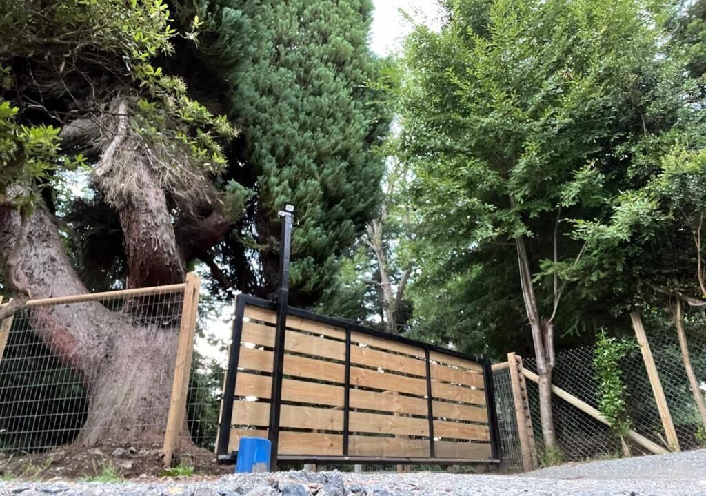Photo of Outdoor in Frutillar