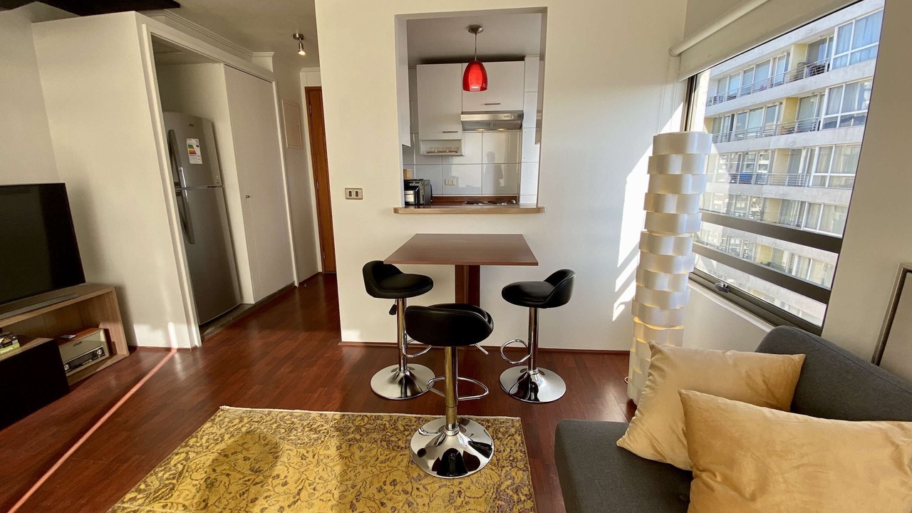 Photo of Livingroom in Downtown Santiago