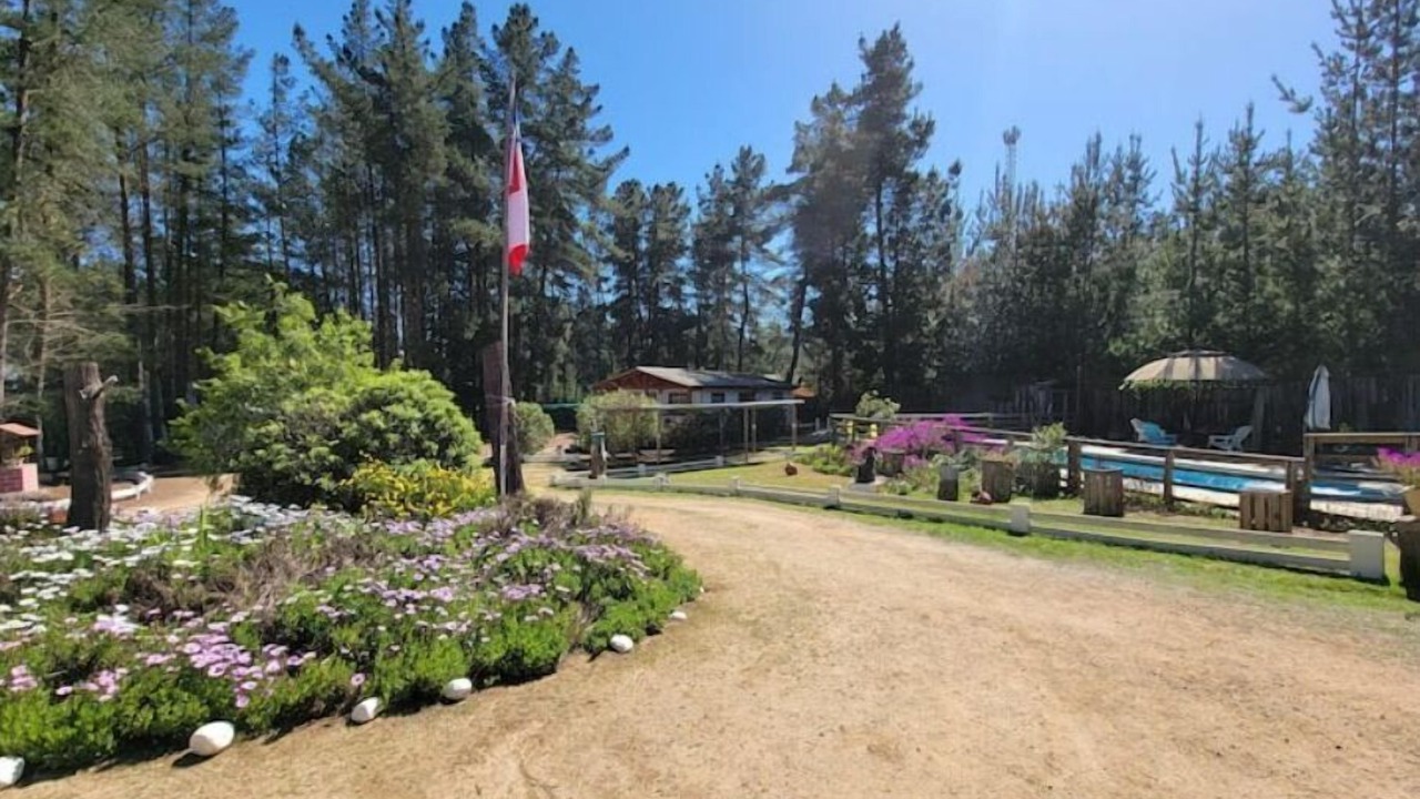 Photo of Outdoor in Algarrobo