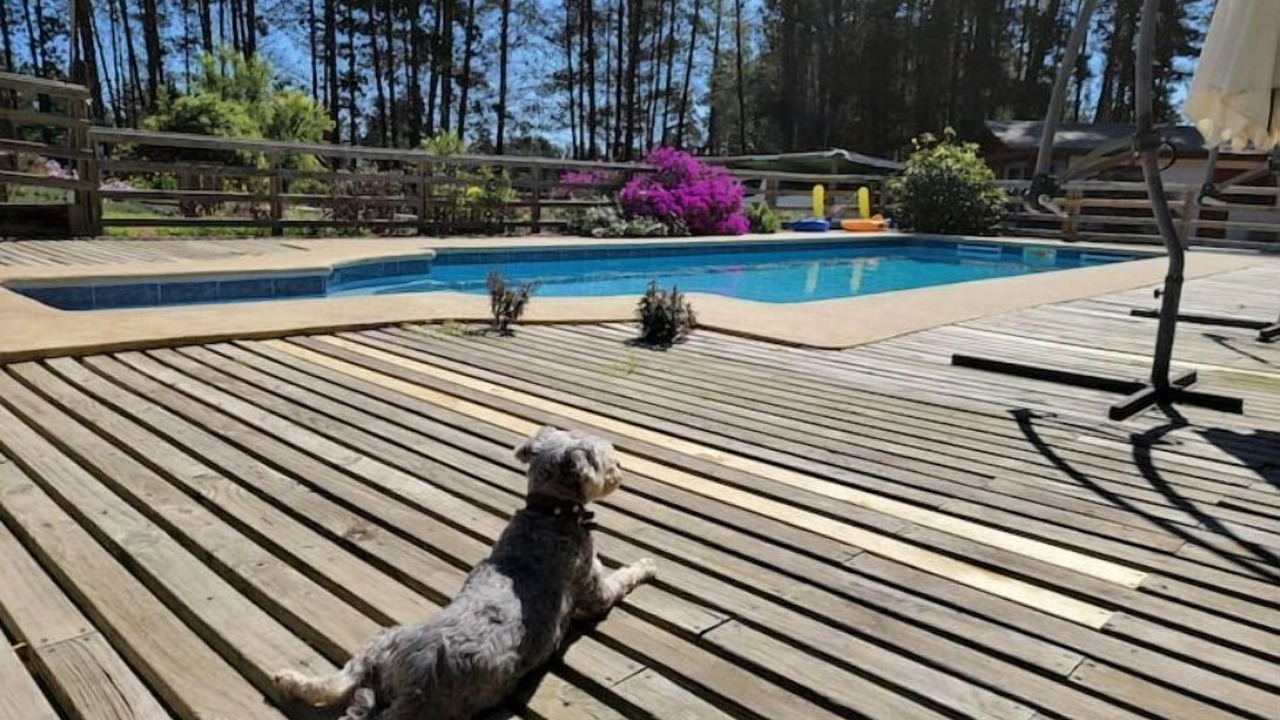 Photo of Outdoor in Algarrobo