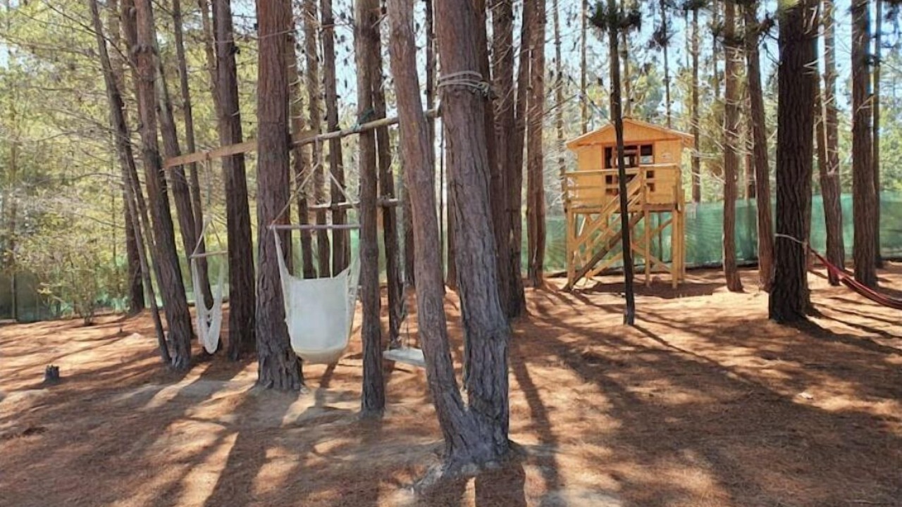Photo of Outdoor in Algarrobo