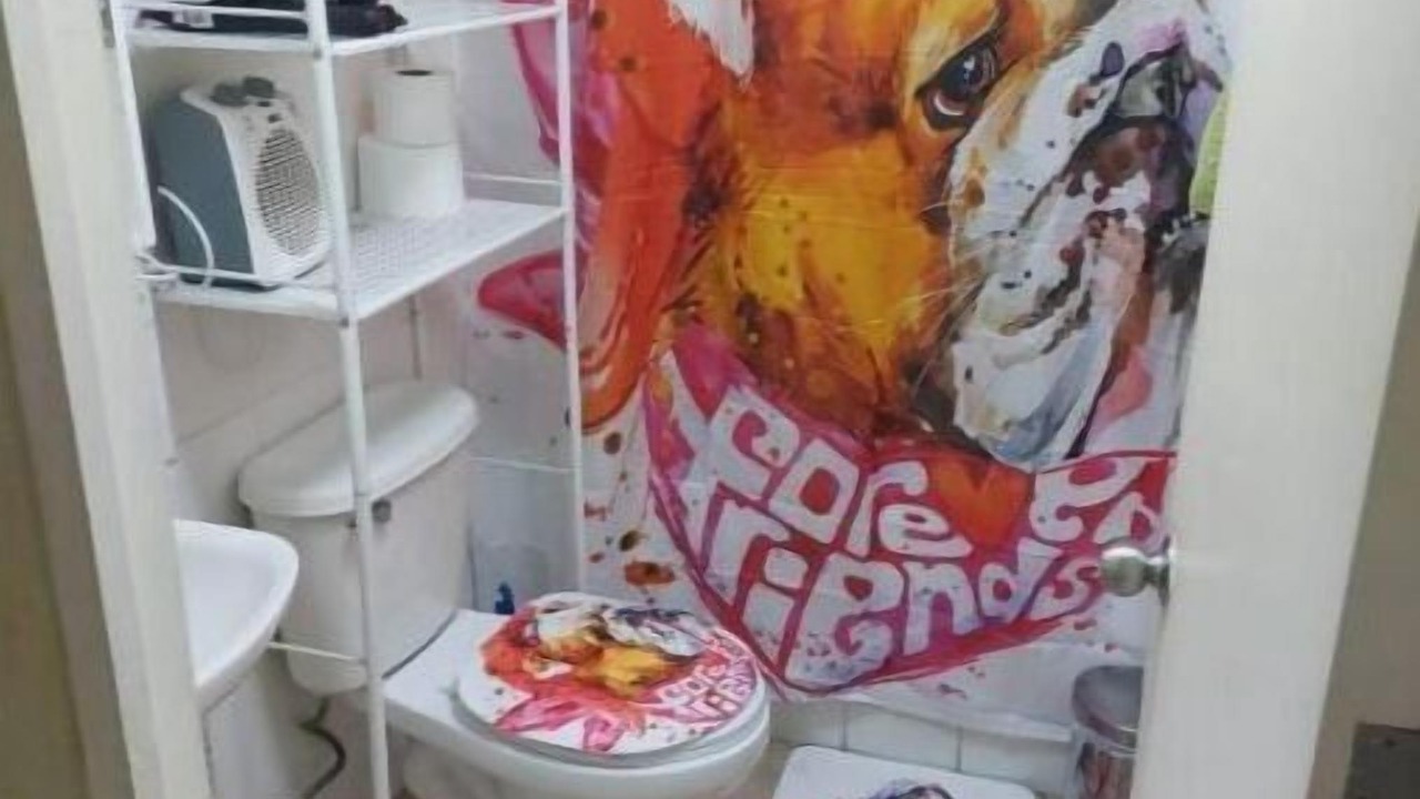 Photo of Bathroom in Puerto Montt