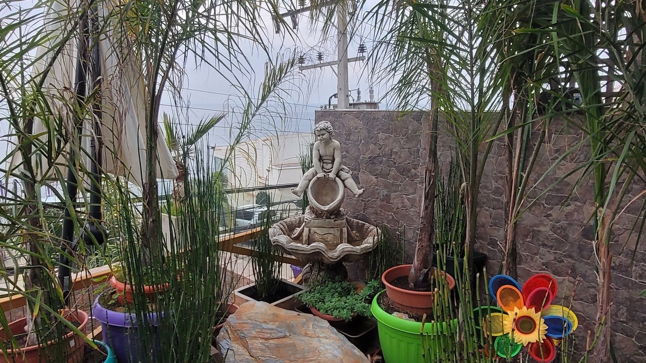 Photo of Outdoor in Renaca