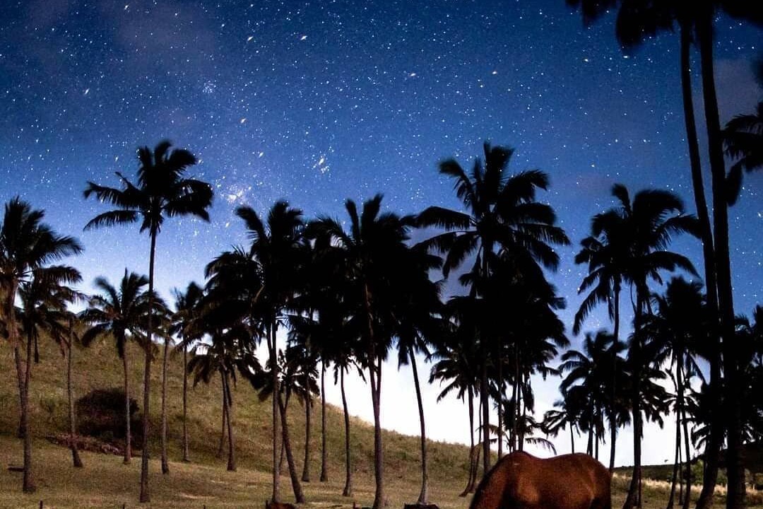 Photo of Others in Hanga Roa