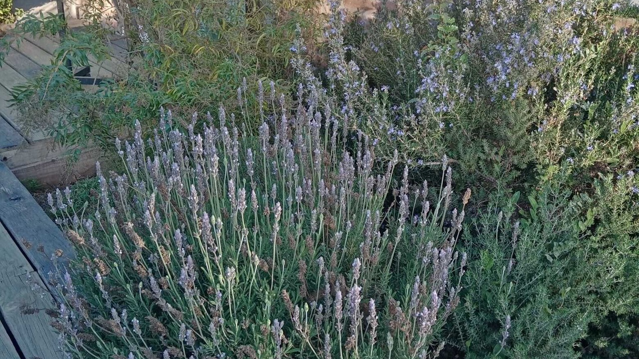 Photo of Outdoor in Casablanca
