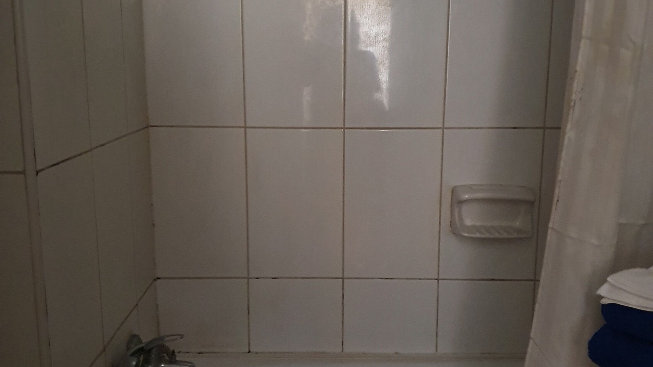 Photo of Bathroom in Lastarria