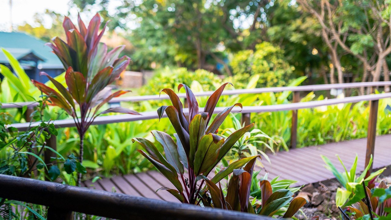 Photo of Outdoor in Hanga Roa