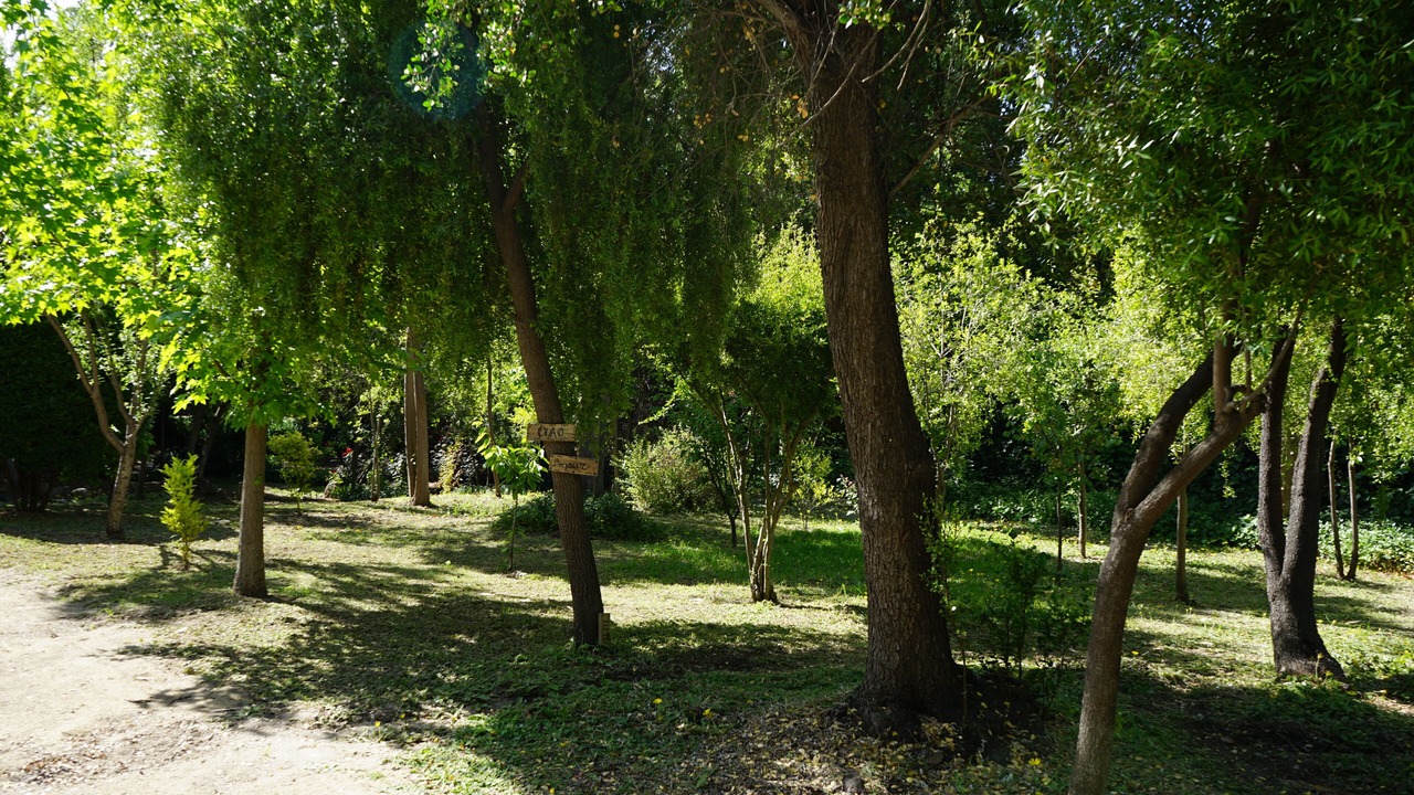 Photo of Outdoor in Pirque