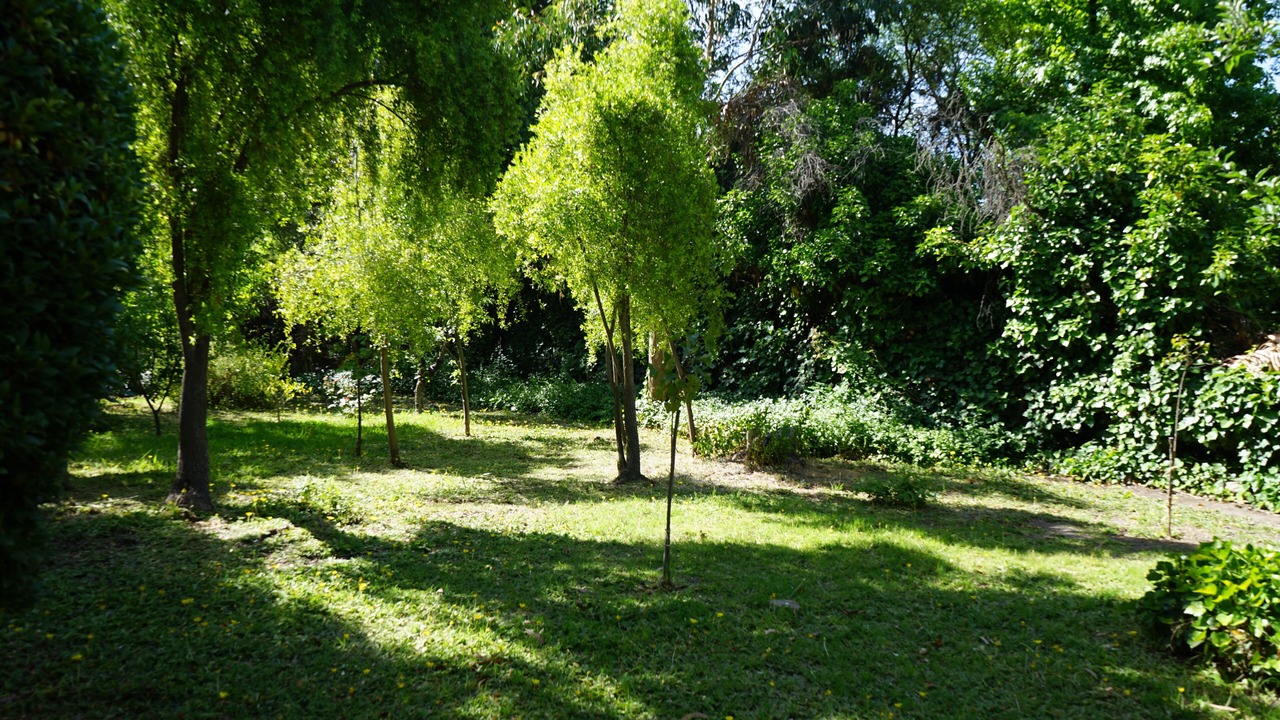 Photo of Outdoor in Pirque