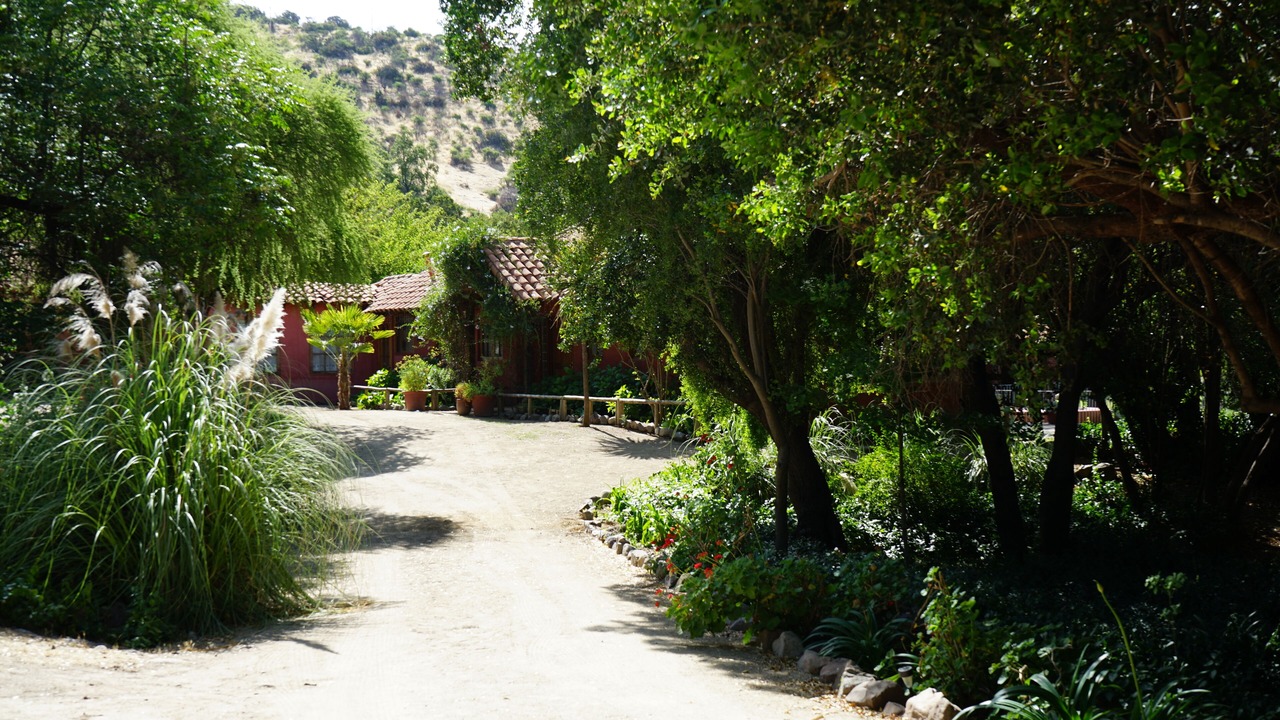 Photo of Outdoor in Pirque