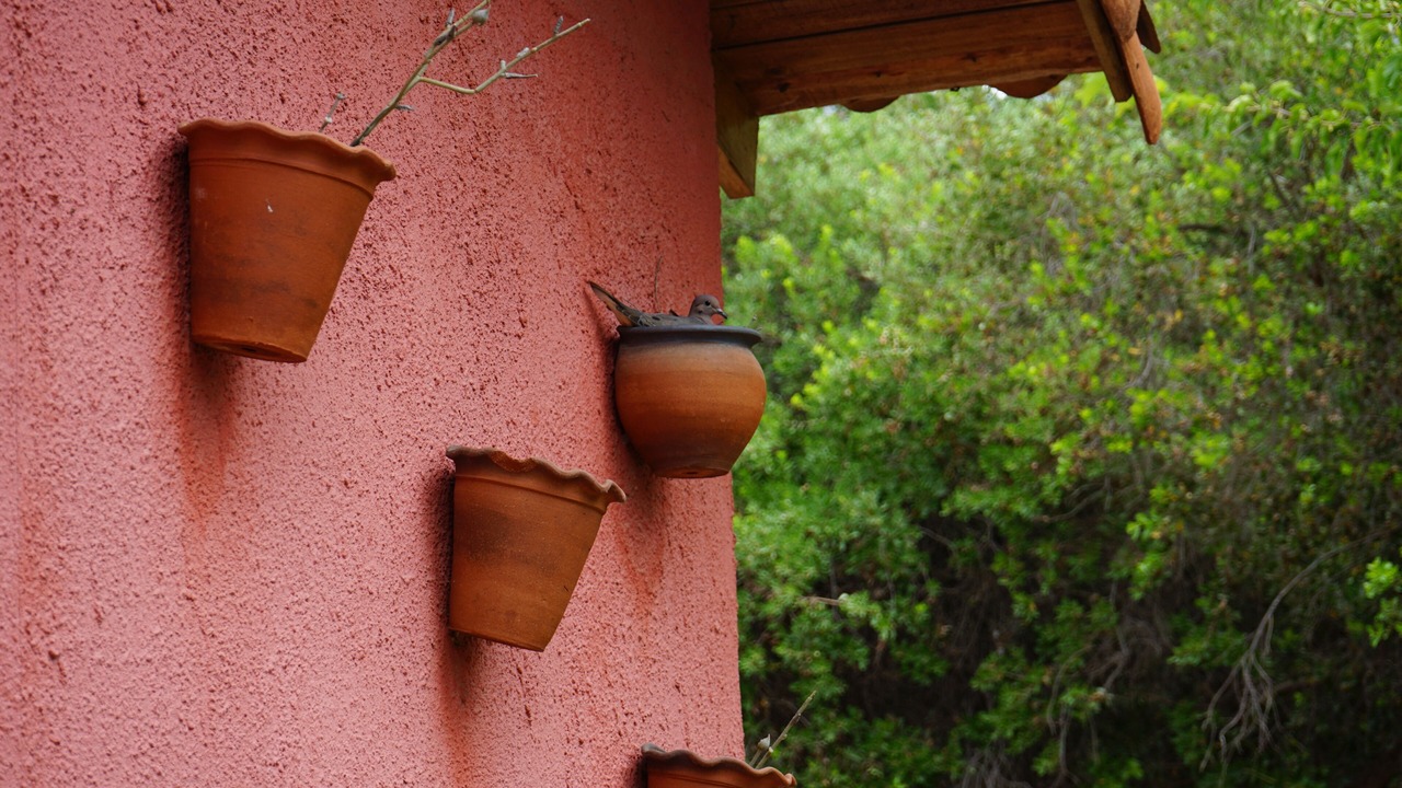 Photo of Outdoor in Pirque