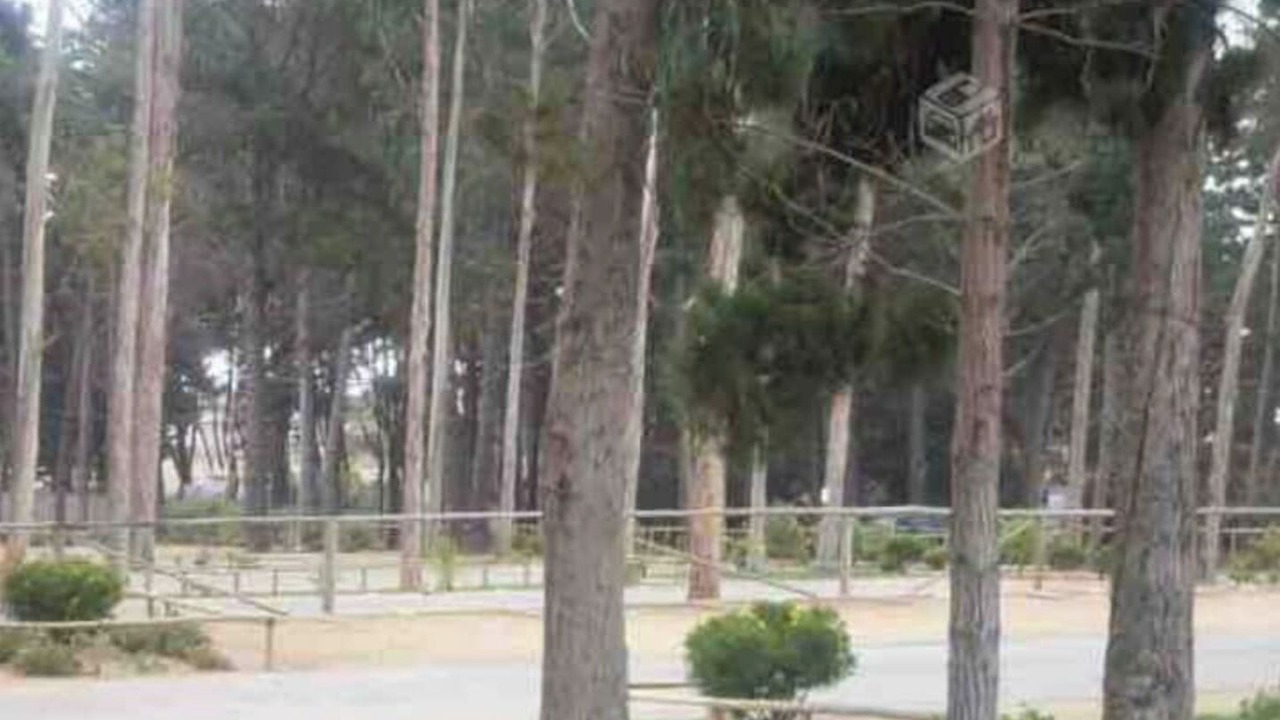 Photo of Others in El Tabo