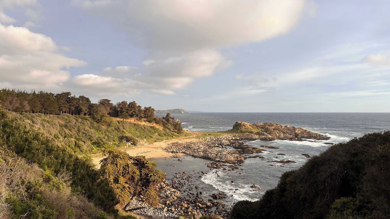 Photo of Others in Quintay