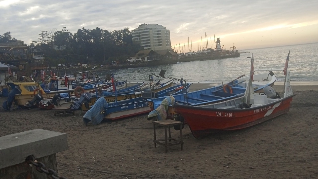 Photo of Others in Papudo