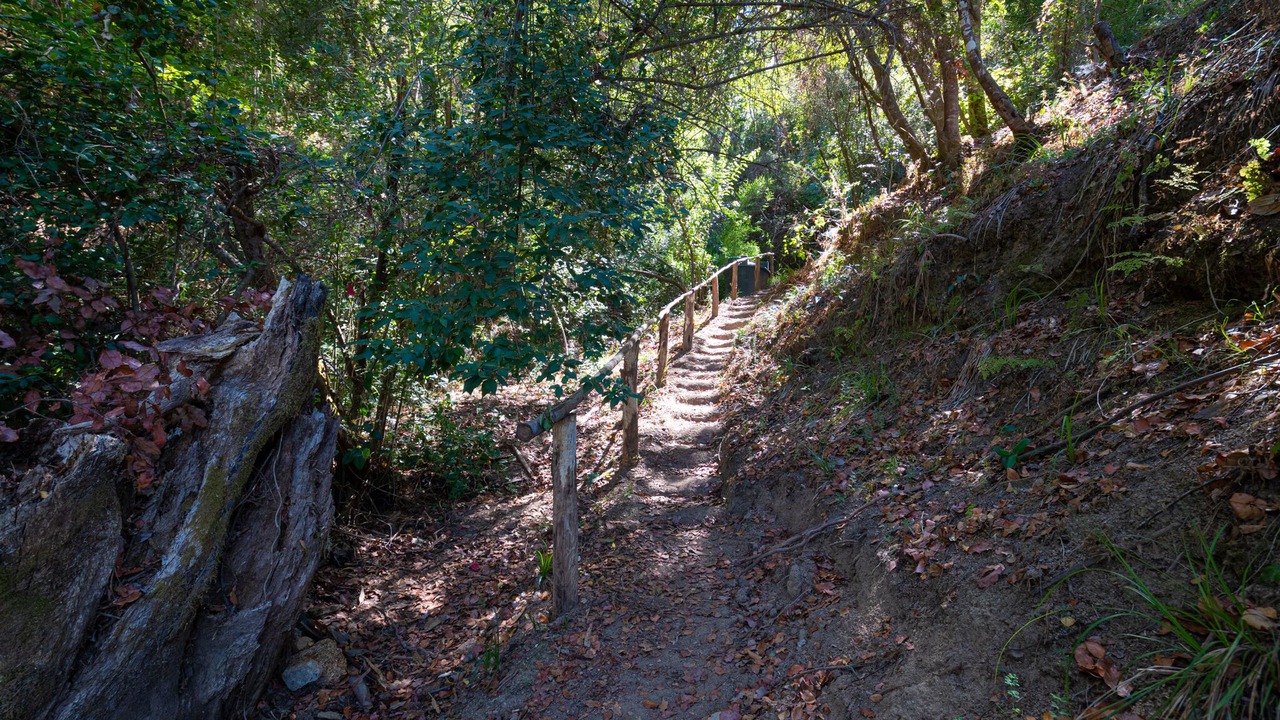 Photo of Outdoor in Nuble Region