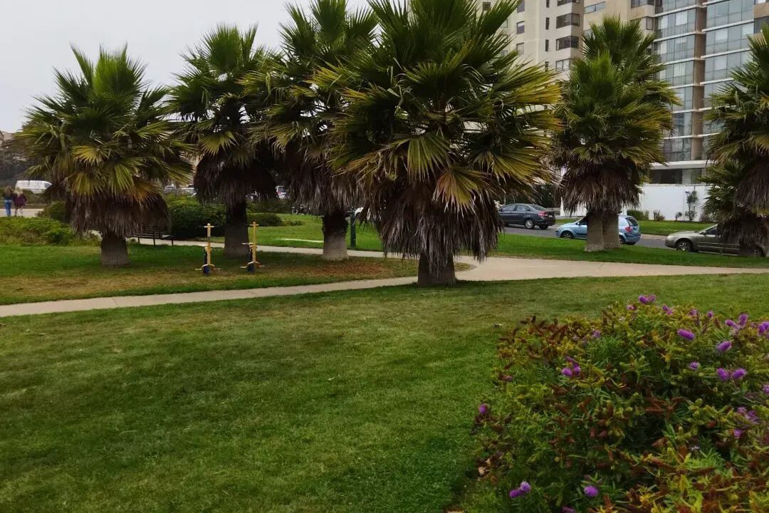 Photo of Outdoor in Concon