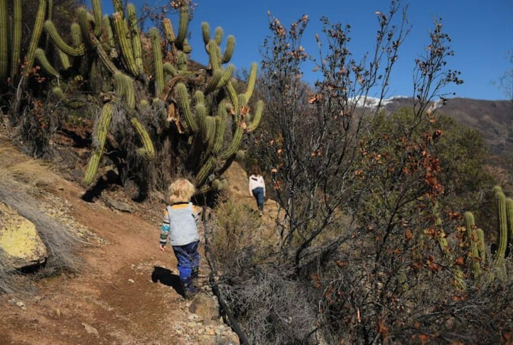 Photo of Outdoor in Lo Barnechea