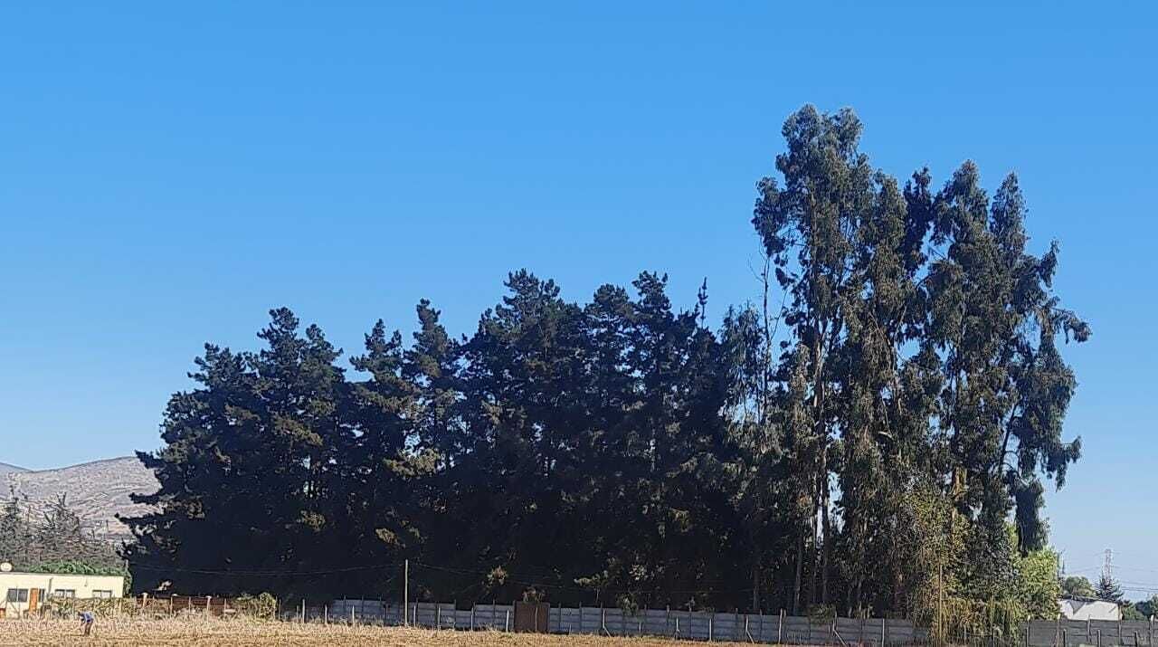 Photo of Outdoor in La Serena