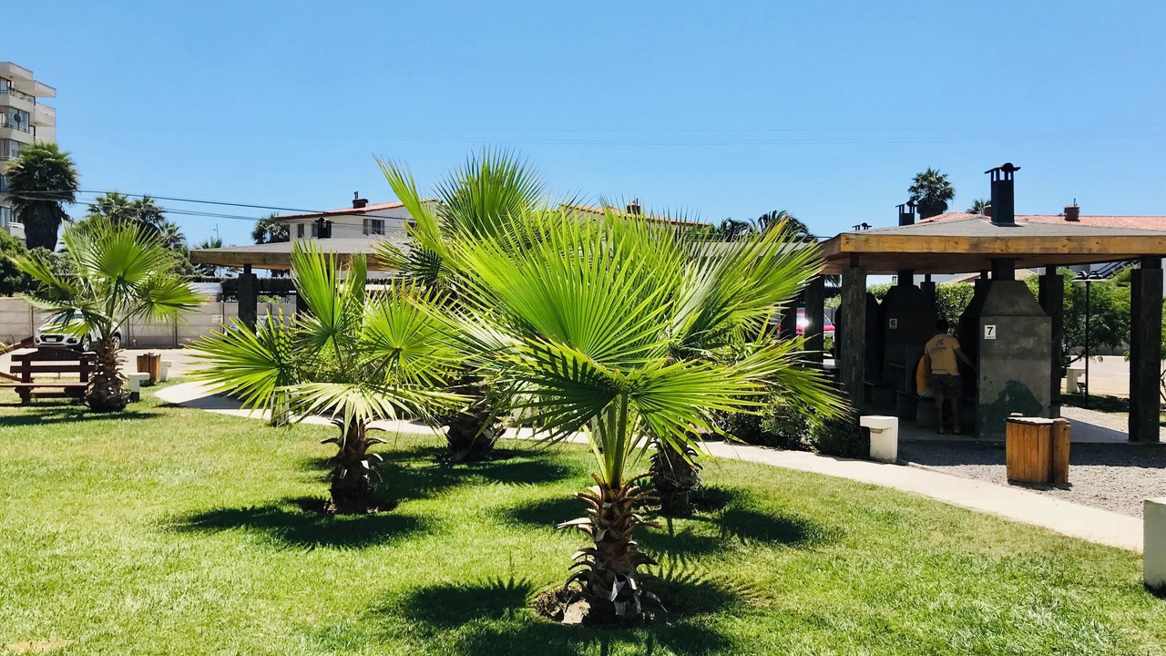 Photo of Outdoor in La Serena