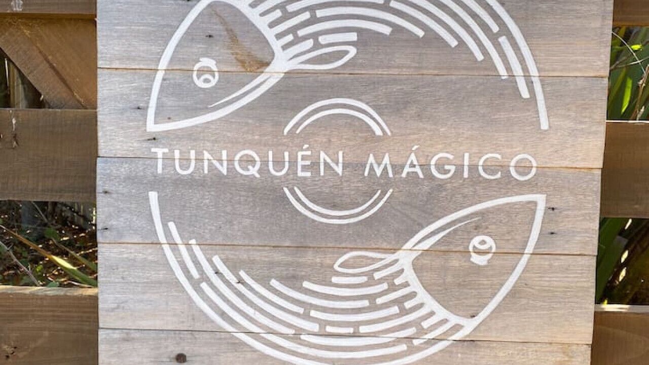 Photo of Others in Tunquen
