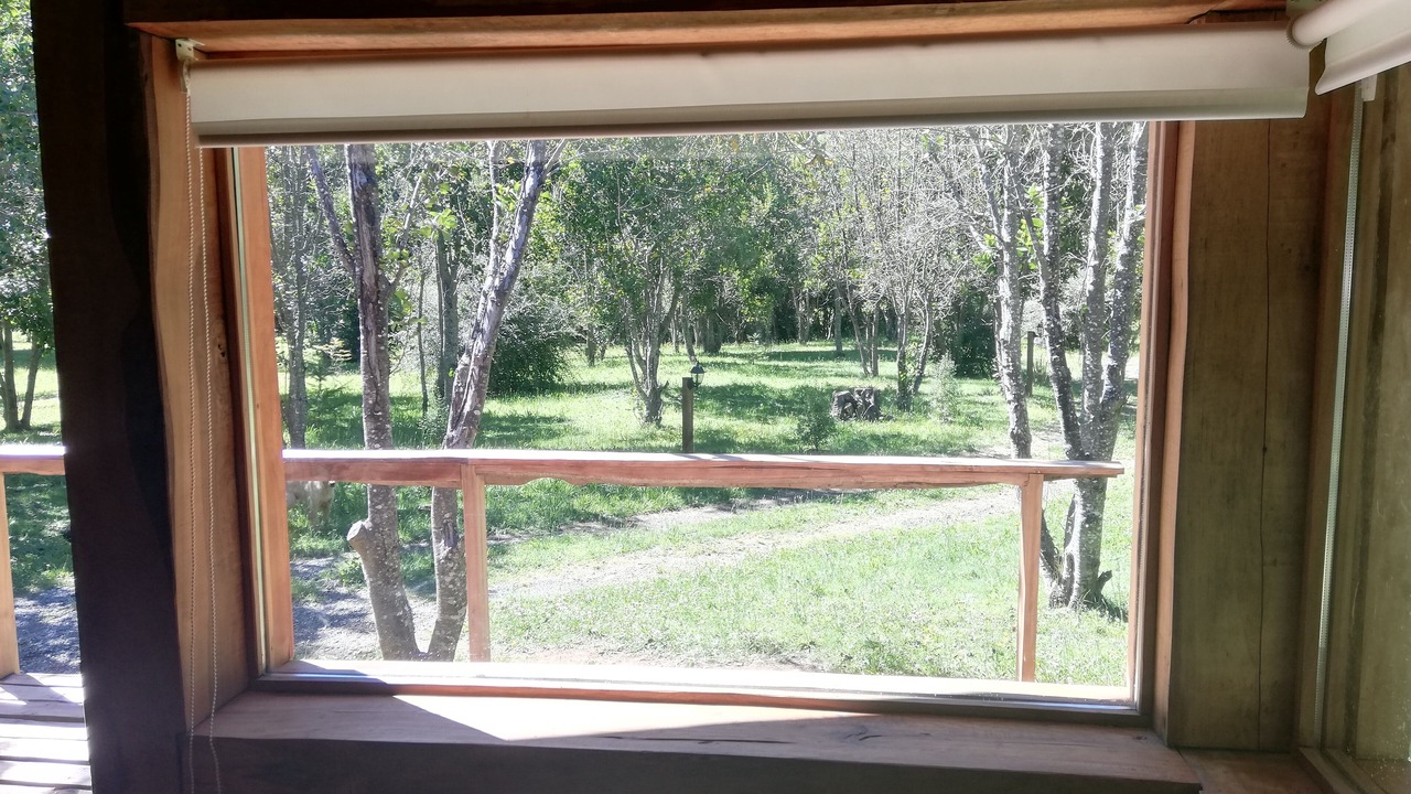 Photo of Others in Pucon