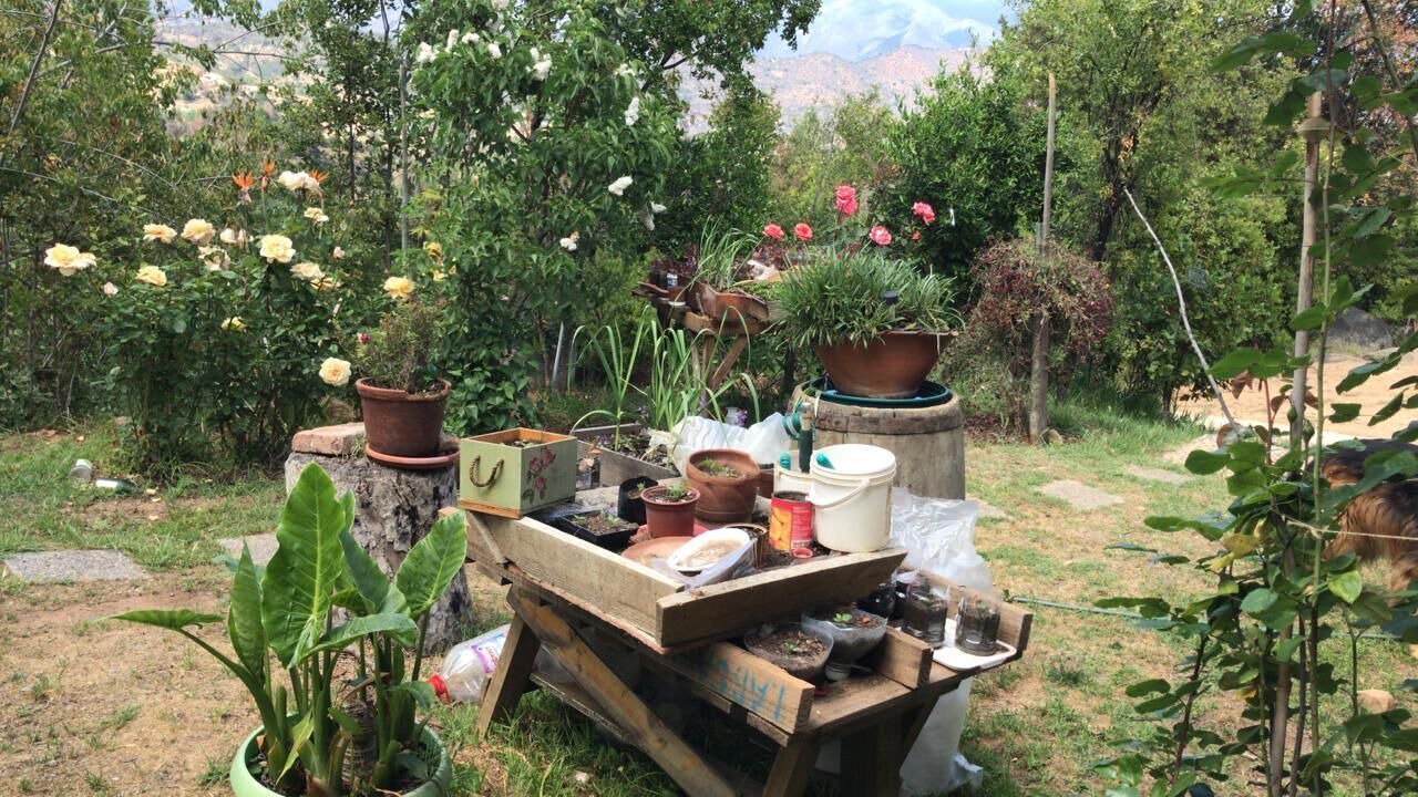 Photo of Outdoor in Olmue