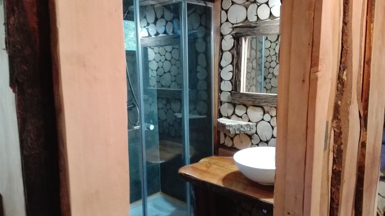 Photo of Bathroom in Pucon
