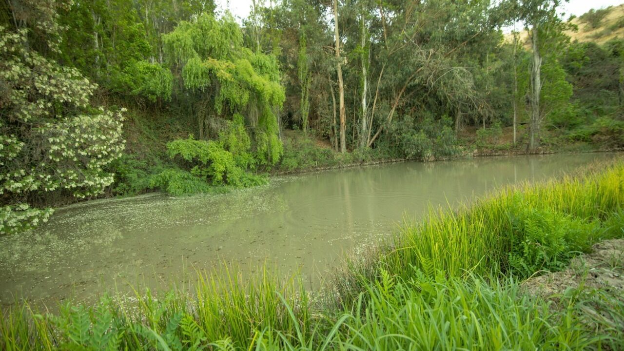 Photo of Outdoor in San Felipe