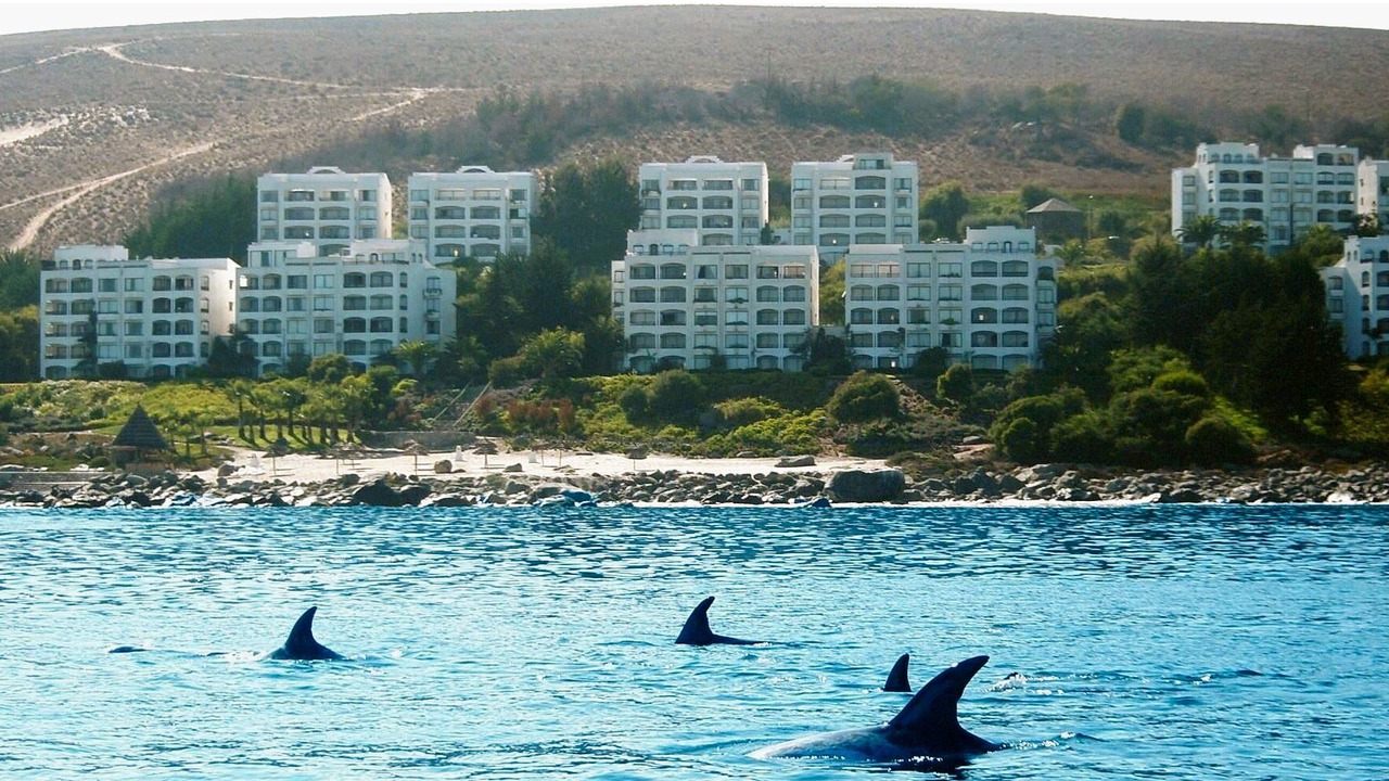 Photo of Outdoor in Tongoy