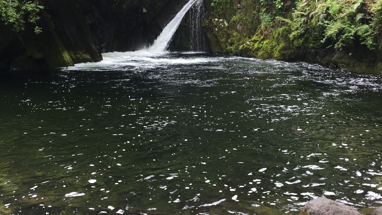 Photo of Outdoor in Pucon