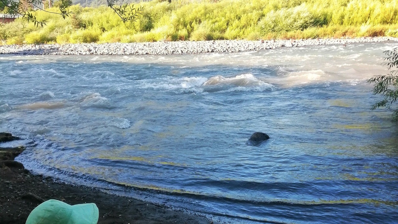Photo of Others in Pucon