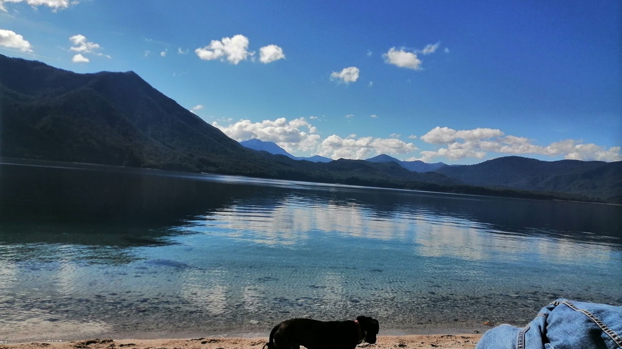 Photo of Others in Pucon