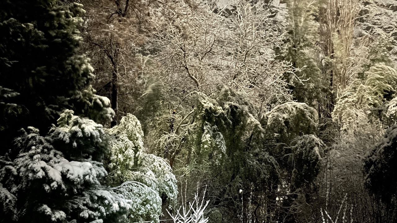Photo of Outdoor in Los Azules