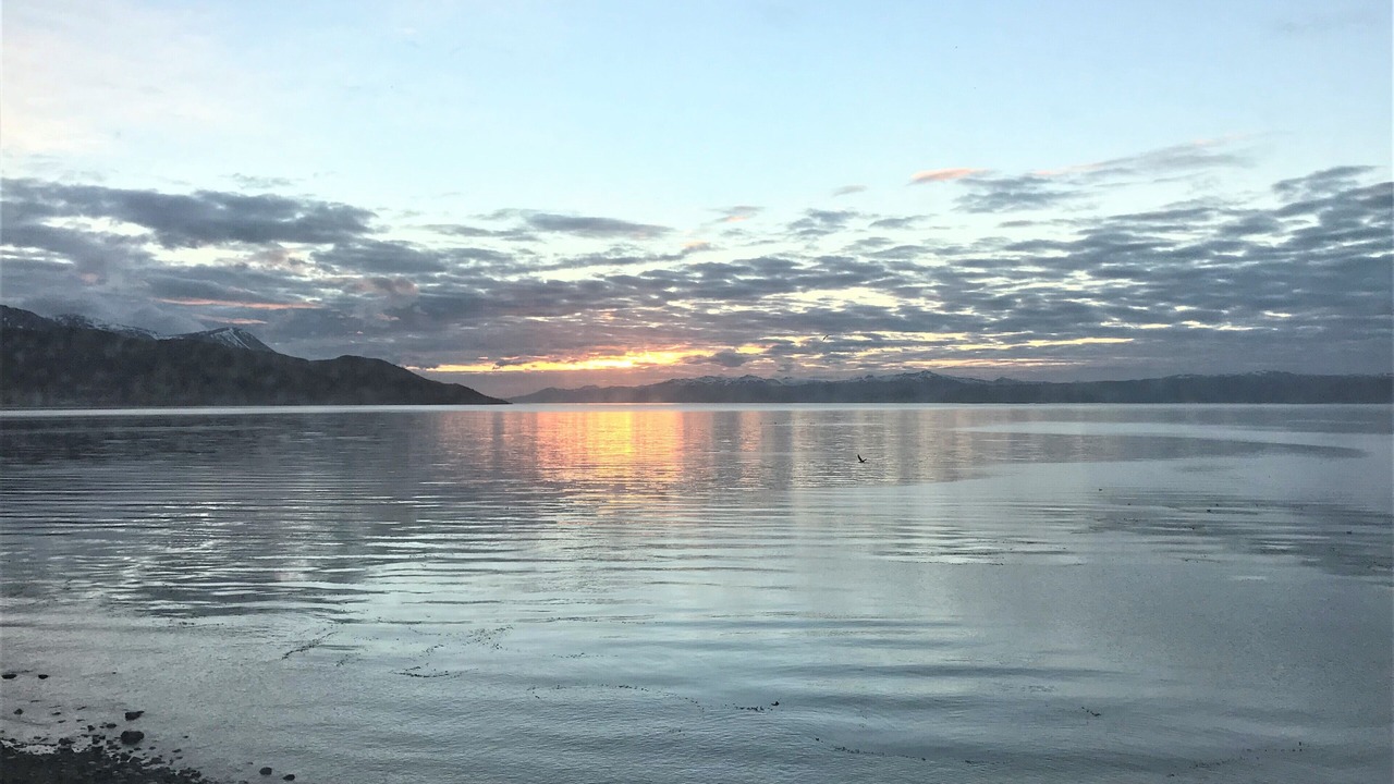 Photo of Others in Province of Tierra del Fuego
