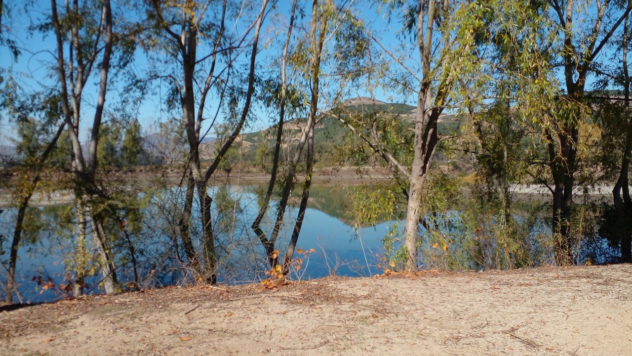 Photo of Others in Santa Cruz