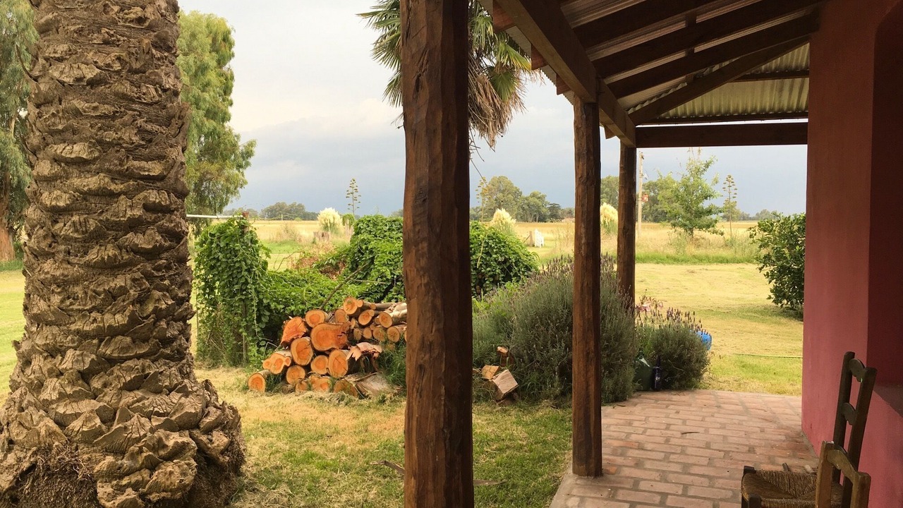 Photo of Patio Balcony in Partido de Las Flores