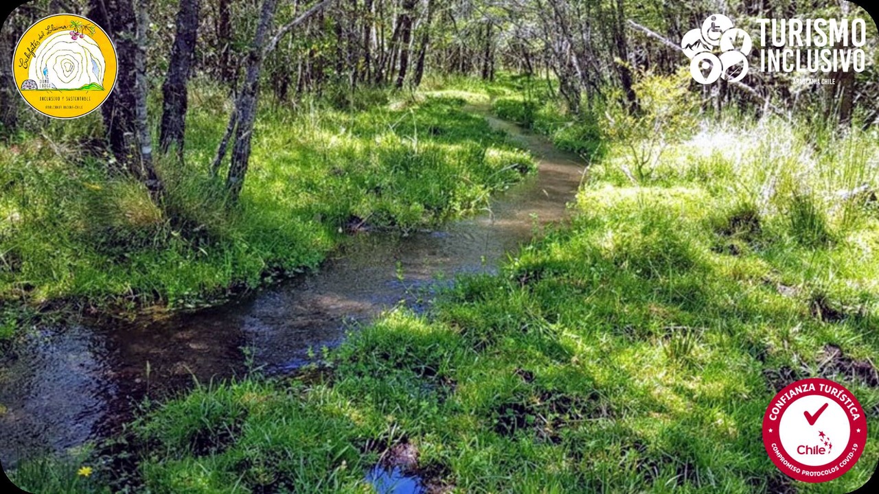 Photo of Outdoor in Curacautin